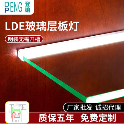Moderno 6-8 mm Estante de vidrio Iluminación de acento Blanco cálido 3500K PMMA Aluminio Toque de interruptor de encendido/apagado Estante único