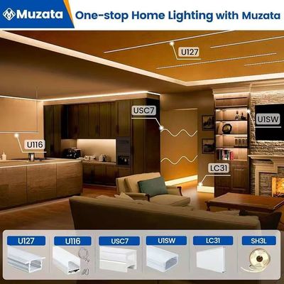 Exterior impermeable 12/24V Silicón LED Light Strip Para la decoración del hogar Neón LED Strip Lights Blanco 16.4ft/5m Neón Light Strip 12V Silicón impermeable Flexible LED Neón Lámparas de cuerda para el Festival de dormitorio