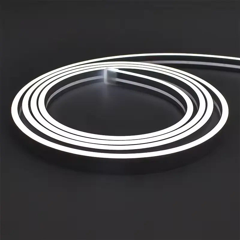 Luz de banda de neón 3*8 4*8 6*12 3mm 4mm 6mm 8mm 10mm 16mm 12V 24V Tubo de silicona con cuerda de neón