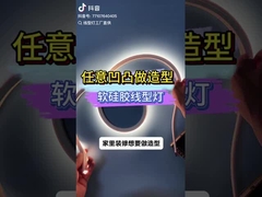 banda de luz de neón flexible