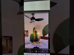 luz de ventilador de techo de led de buena calidad mejor vendedor